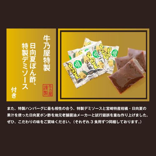 ふるさと納税の返礼品宮崎県高鍋町「牛乃屋 極上プレミアムハンバーグ10個入り」特性ソース2種