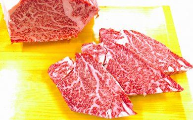 ふるさと納税 熊本県産 黒毛和牛ヒレステーキ『大容量100g×10!』