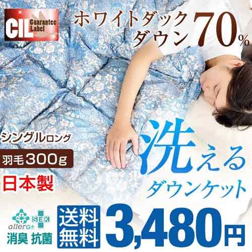 タンスのゲンさんダウン掛け布団羽毛300g売れ筋の人気おすすめ製品