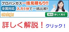 enepi(エネピ)プロパンガス無料一括見積もり