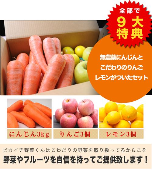 ピカイチ野菜くんの9大特典 無農薬にんじんこだわりのリンゴセット