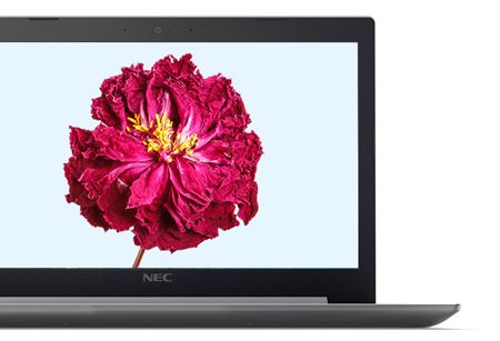 NEC社製 (2017年秋冬モデル) ノートパソコン15.6型 LAVIE Direct NS(A)液晶画面に映り込みがない目に優しい「ノングレア液晶」