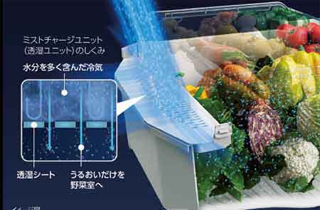おすすめ冷蔵庫メーカー東芝の「摘みたて野菜室」ミストチャージユニット